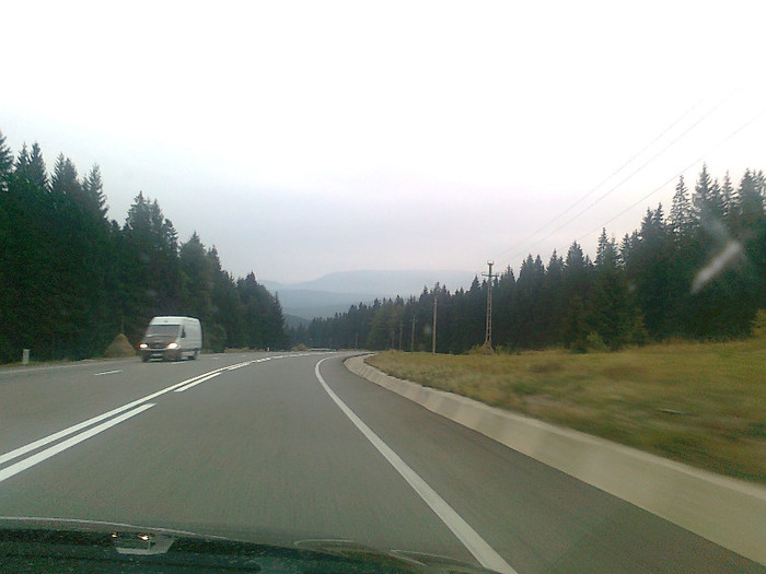 dimineata cetoasa (17)