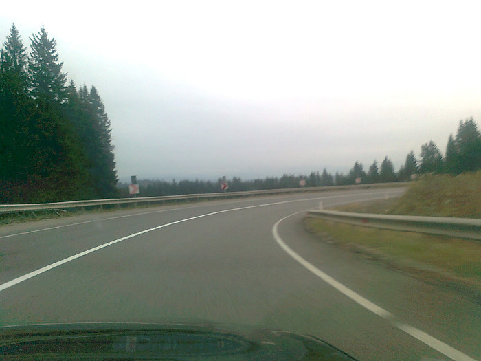 dimineata cetoasa (18)