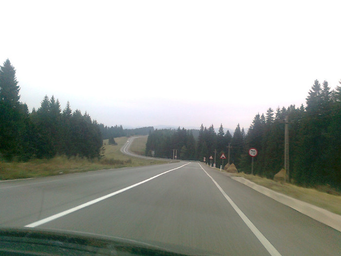 dimineata cetoasa (19)