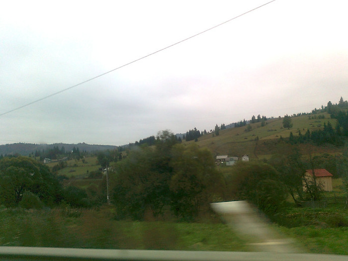 dimineata cetoasa (23)