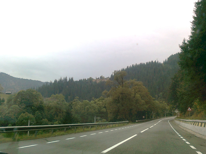 dimineata cetoasa (24)