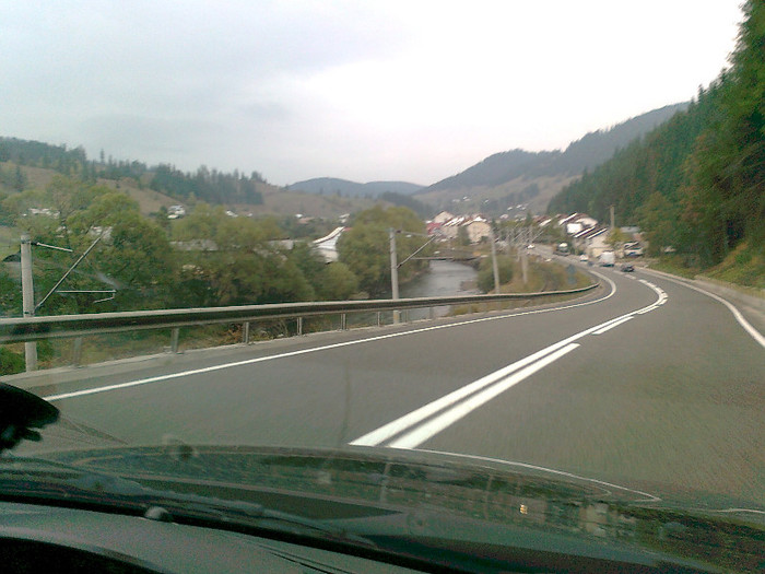 dimineata cetoasa (26)