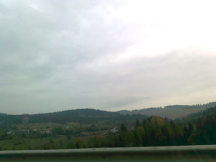 dimineata cetoasa (27)