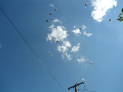 83928054_GUTLKVA3