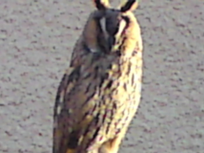 004; O dorinta implinita pentru 2012!
