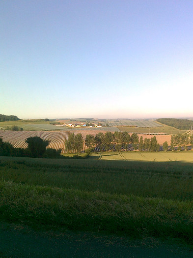 SPRE LOURDES - FRANTA - Lourdes