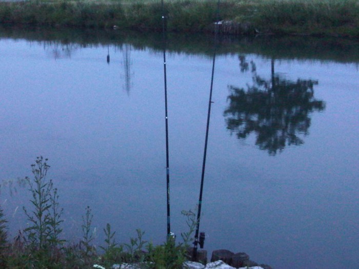 IMG00375-20120603-2115