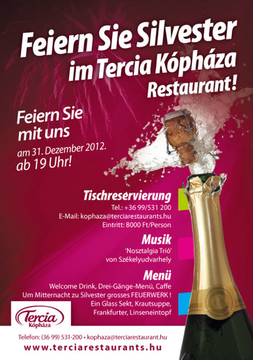 invitatie -meghivo - Revelion -2012 -Wiena -Donaudelta