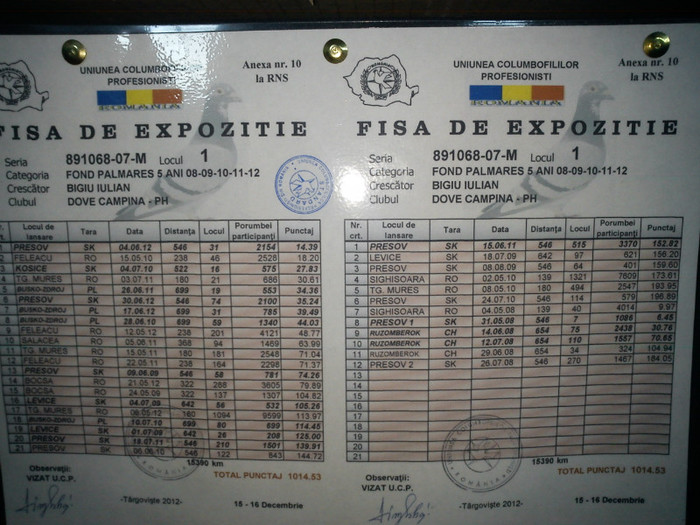 Loc 1 Fond palm. 5 ani-fisa - EXPO Targoviste 2012