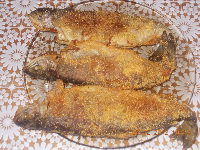 DSCN5841_1323