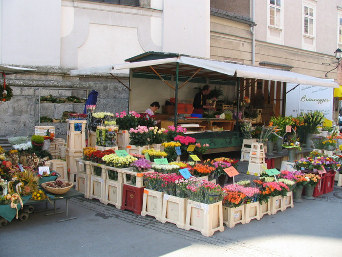 Austria Salzburg piata -01