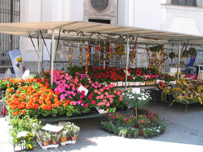 Austria Salzburg piata -02