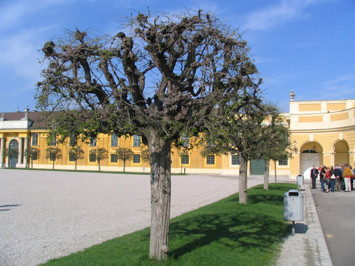 Austria Wiena muzeu Schönbrunn-05