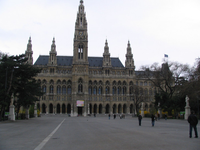 Austria Wiena Primaria-01