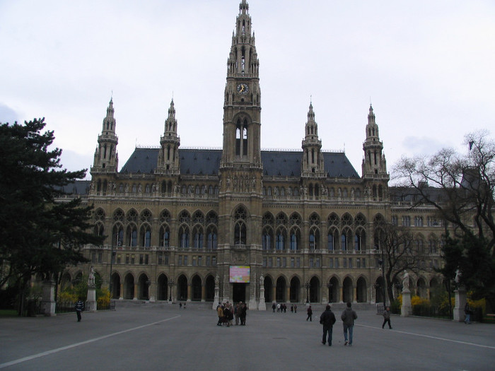 Austria Wiena Primaria-02