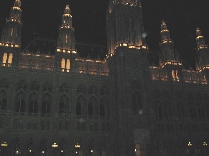 Austria Wiena Primaria noaptea-01