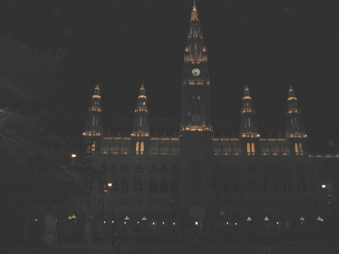 Austria Wiena Primaria noaptea-02