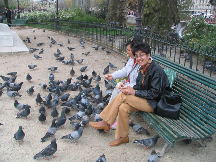 Franta Paris Notre-Dame parc -01