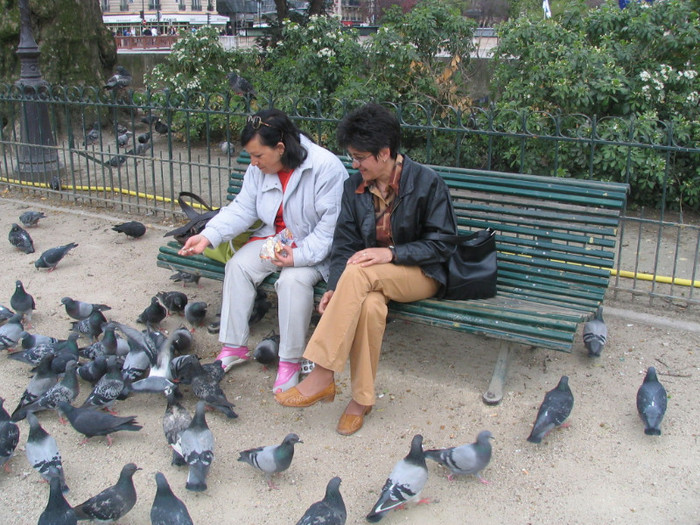 Franta Paris Notre-Dame parc -02