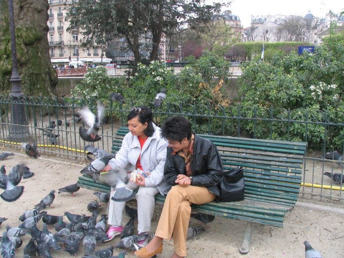 Franta Paris Notre-Dame parc -04