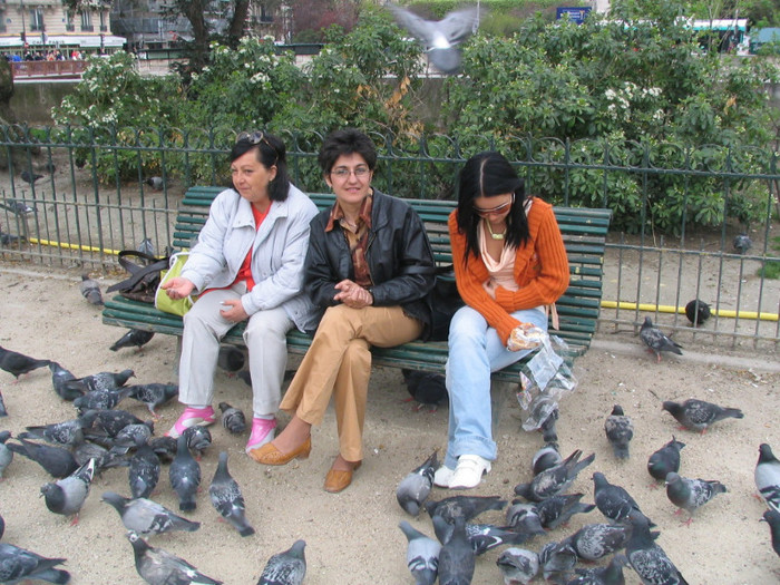 Franta Paris Notre-Dame parc -06