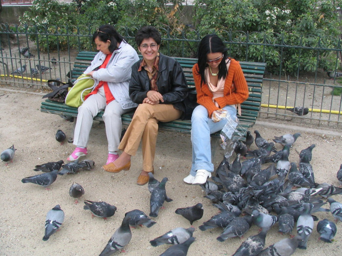 Franta Paris Notre-Dame parc -07