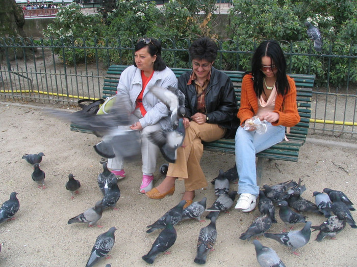 Franta Paris Notre-Dame parc -09