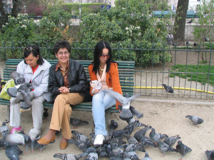 Franta Paris Notre-Dame parc -10