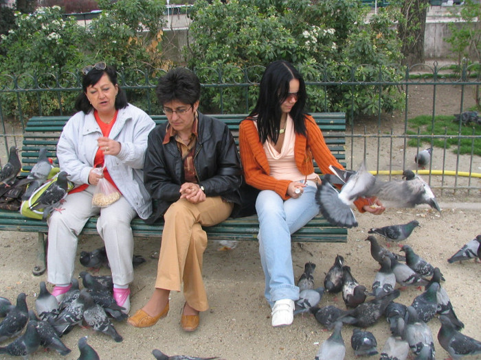 Franta Paris Notre-Dame parc -11