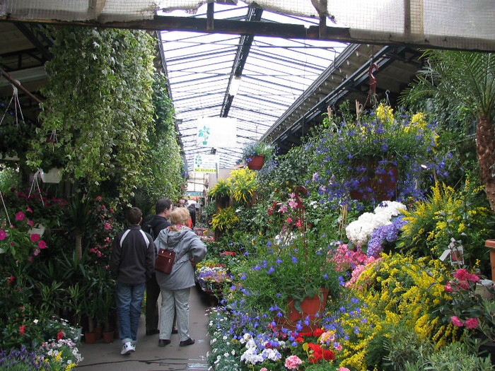 Franta Paris piata flori -01