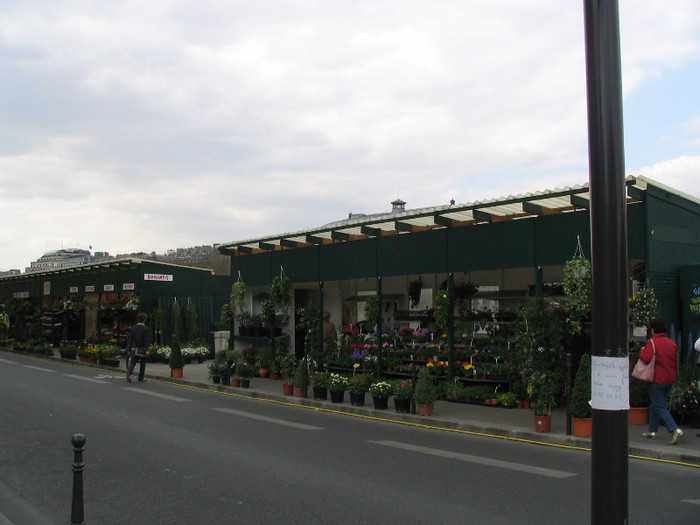 Franta Paris piata flori -02