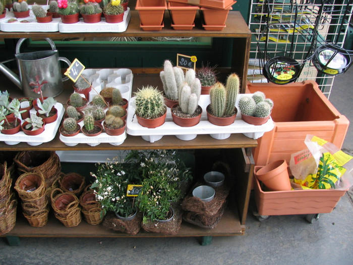 Franta Paris piata flori -04