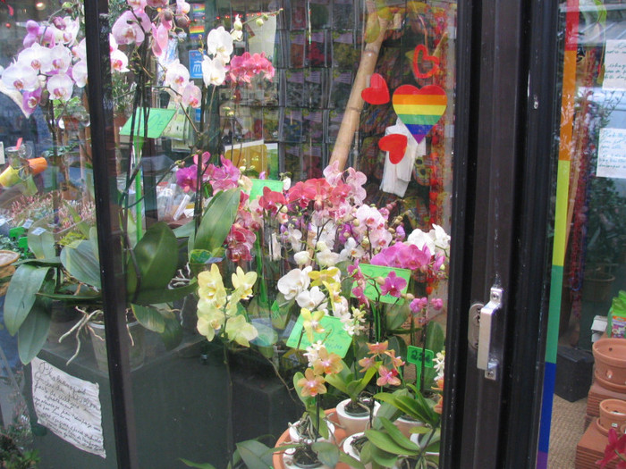 Franta Paris piata flori -13