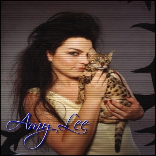 - . Day 81 . Ora 13;oo . 3o . 12 . 2o12 .