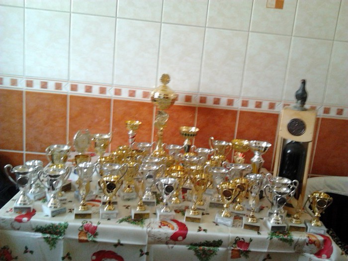 2012-12-30 12.18.51