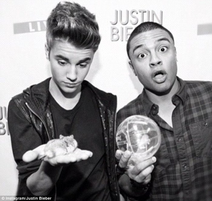 justin-beber-hamster-pac-2 - Justin Bieber