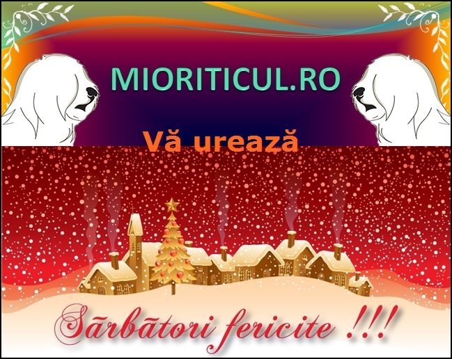 www.Mioriticul.ro - 0 Contact- Din Zestrea Stanelor