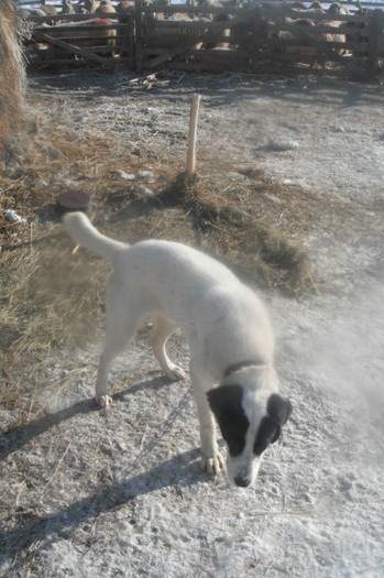Picture 568