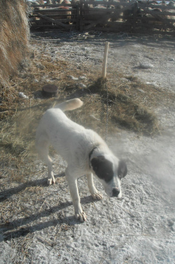 Picture 569