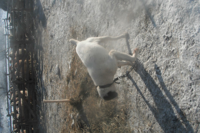 Picture 572