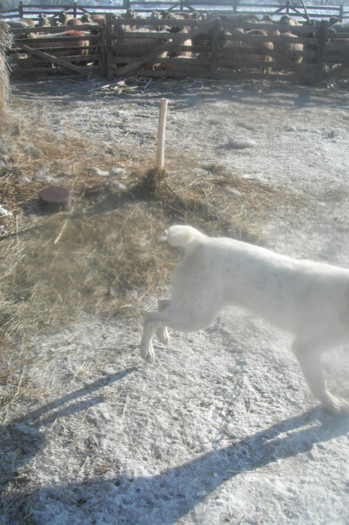 Picture 574