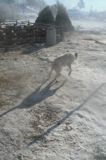 Picture 577