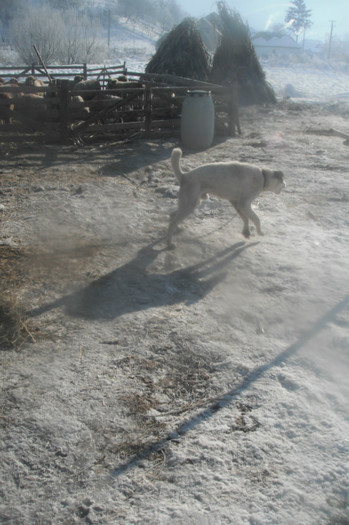 Picture 578