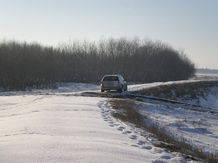 PC301275; Digul dintre Ograda si Fratilesti.
