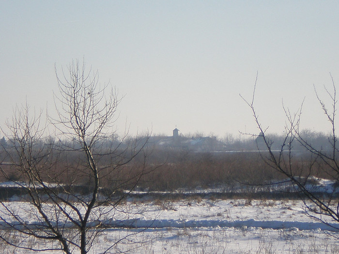 PC301276; Fratilestiul vazut de pe digul de la Ograda.
