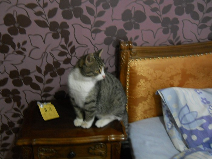 DSCN5182