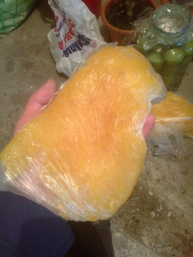 turte miere - Apicol 2011-2012