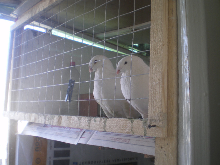 IMGP0132
