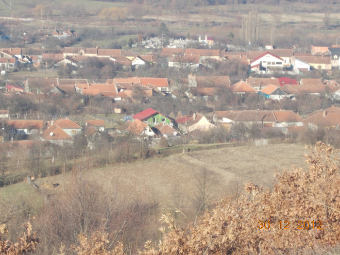 casa noastra(cea verde) - NATURA