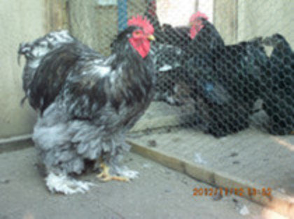 82949445_OYQTQVX